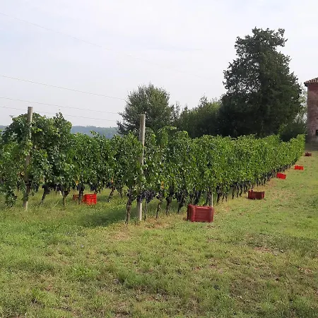 Marchesi Incisa Winery Rocchetta Tanaro