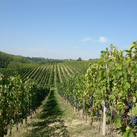 Marchesi Incisa Winery Bauernhof