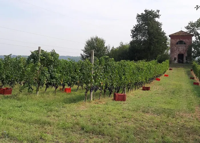 Marchesi Incisa Winery Lodge Rocchetta Tanaro