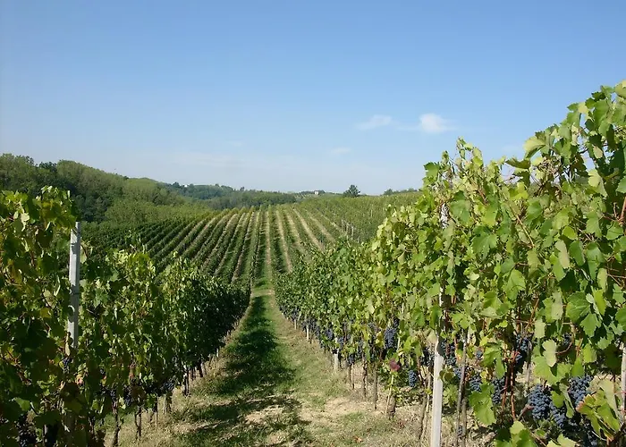 Marchesi Incisa Winery Lodge Farm stay